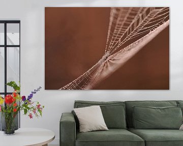 Bedauwde spin in haar web met zonsopkomst van Astrid Brouwers
