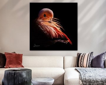 Flamingo van Judith Veenstra