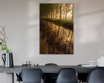 Genieten op het water, meedrijven met de stroom van Geert Van Baelen