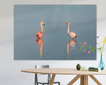 Roze Elegance: Flamingo's in de Mist van Daan Sitters