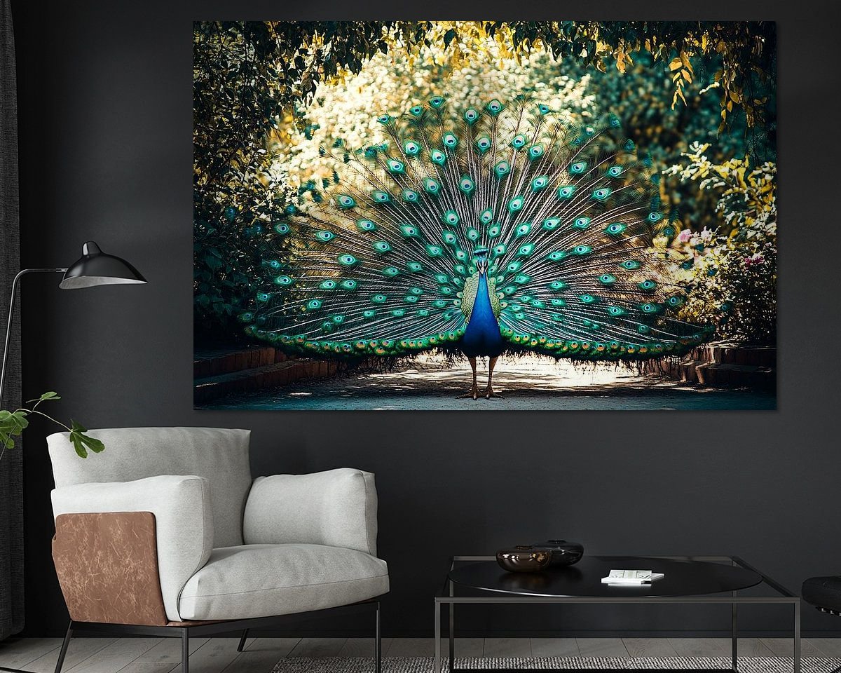 Raumvorschau