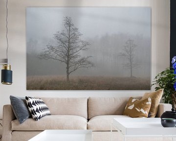 Fine Art landschap van bomen in de mist van John van de Gazelle fotografie