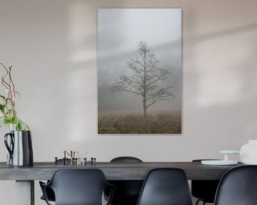Fine art landscape of a tree in the mist by John van de Gazelle fotografie