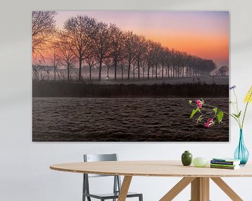 Sunrise Zoeterwoude 4