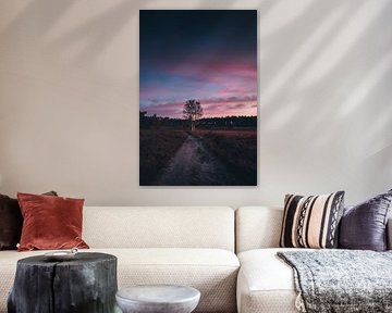 Arbre solitaire