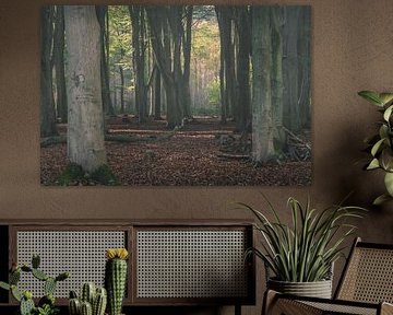 Les arbres