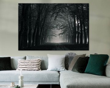 Overhanging trees in Planken Wambuis in the Veluwe region by Robert Jan Smit