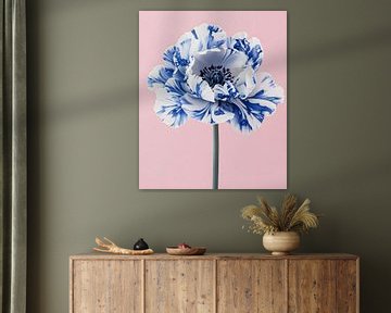 Porzellanblume - Blau-Weißer Mohn von But First Framing