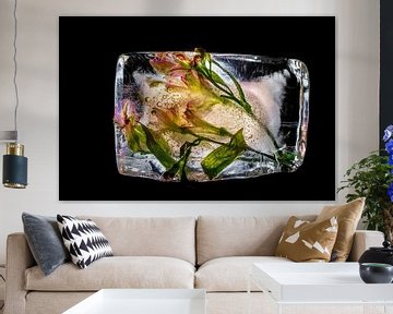 Frozen Flowers, kleurrijke bloemen bevroren in ijs van Loes van Dijk