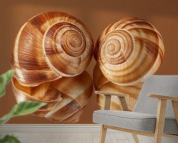 Warm browns; Two escargots together by Marjolijn van den Berg