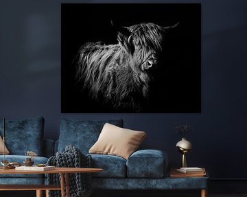 Schotse Hooglander van Lens_en_Dier/Vizier Fotografie