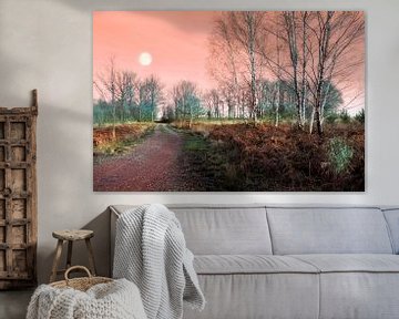 Landschap met bomen en volle Maan van Corinne Welp