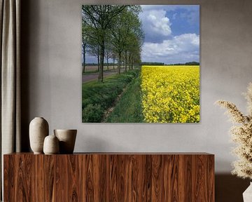 Landschaft mit Bäumen und gelb blühendem Raps
