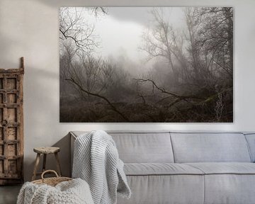 Foggy morning by René Jonkhout