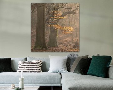Gouden uurtje van René Jonkhout
