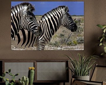 Stripes in unison - zebras in Etosha National Park by WeltReisender Magazin