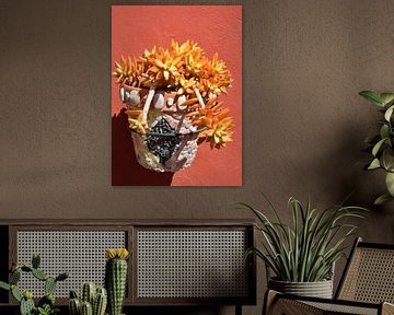Oranje vetplant, koraal rode muur en pot met mozaiek van My Footprints