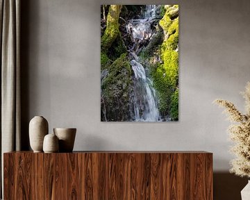 Kleine waterval in het bos met groen mos in de lente Spirituele ontspanning verticaal van Animaflora PicsStock