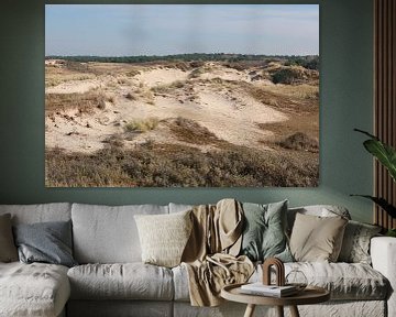 Overzicht van de Zandduinen bij de Noordzee, Nederland van Frans Rombout