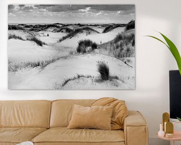 White dunes Texel van Harald Harms