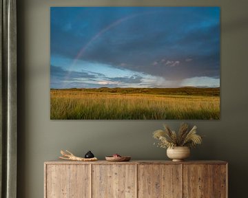 Rainbow in the sky van Harald Harms