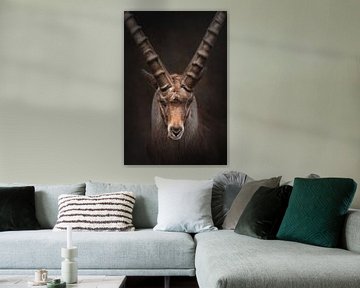 Portret van een steenbok in warme kleuren | fineart fotografie van Laura Dijkslag