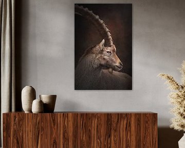 Portret van een alpensteenbok | wildlife | fine art fotografie van Laura Dijkslag