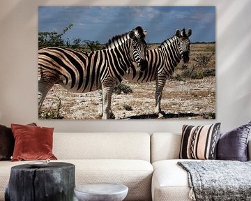 To the beat of the savannah - plains zebra in Etosha National Park by WeltReisender Magazin