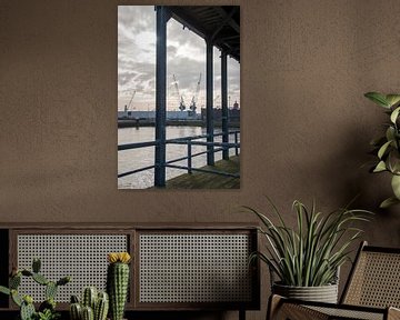 Doorkijkjes in de haven van Zaankanteropavontuur