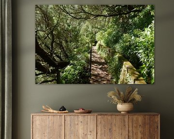 Levada wandelpad in prachtig groen landschap Madeira van Annicky Reijers