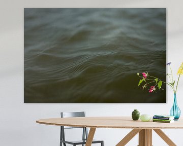 Groene golven
