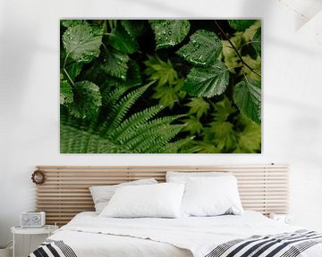 Tuin na de regen van Anne van den Hoogen