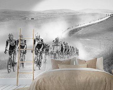 Strade Bianche 2025 von Leon van Bon