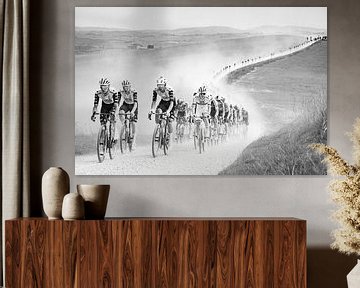 Strade Bianche 2025 von Leon van Bon
