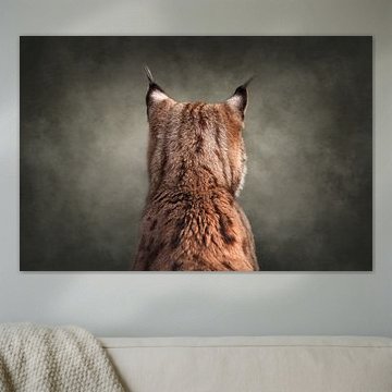 Cocky lynx does not want to be photographed | wildlife | fineart