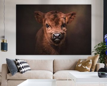 Fineart portret van schotse hooglander kalf van Laura Dijkslag