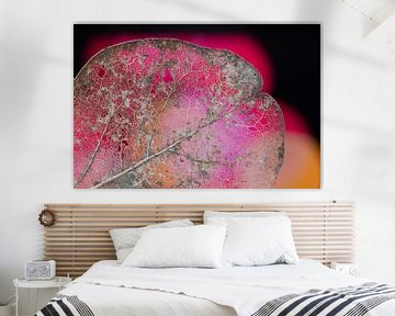 Kunst uit de natuur van Miranda van Hulst