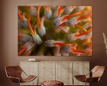 Macrofotografie bloemen en planten van Toon Tijink