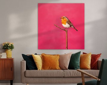 Roodborst vogel op een tak roze van TheXclusive Art