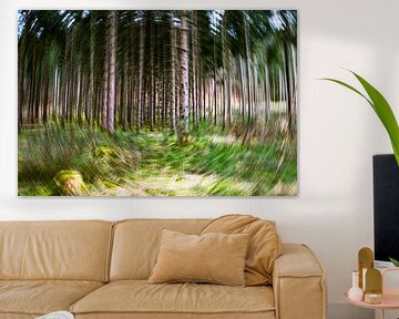 Dans la forêt du Palatinat (photographie ICM)