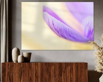 Paarse elegantie van Hilde Remerie Photography and digital art