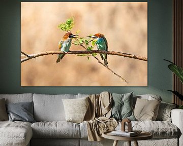 Ruzies tussen vogels van Ursula Di Chito