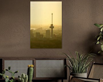 Euromast in Rotterdam tijdens zonsondergang over de stad