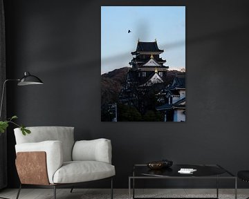 Kasteel van Okayama in de avond
