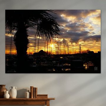 Palme am Hafen bei Sonnenaufgang.