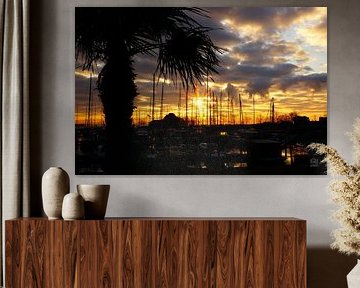 Palm tree at harbour at sunrise.