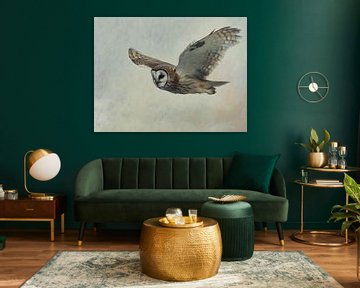 Flying splendour by But First Framing
