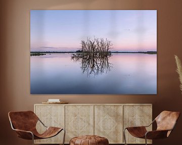 Mysterieuze Dode Bomen in Spiegelend Water – Tusschenwater, Drenthe van KB Design & Photography (Karen Brouwer)