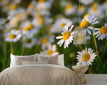 flowers by Jan Roelof Brinksma