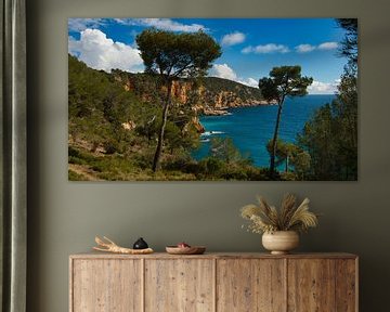 Coast near Saint-Cyr sur Mer on the Côte d'Azur by Tanja Voigt